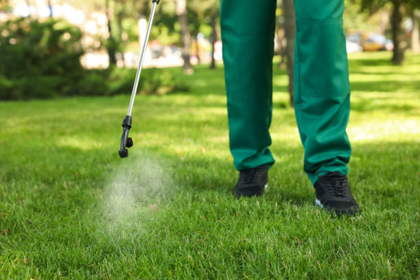Best Affordable Pest Control Services  in Osage City, KS