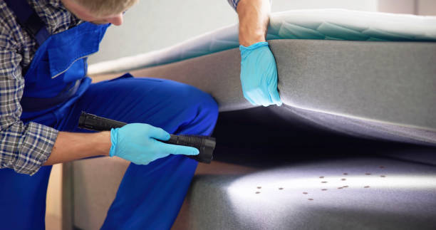 Best Pest Prevention Services  in Osage City, KS