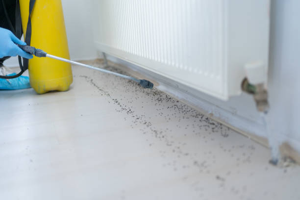 Best Residential Pest Control  in Osage City, KS