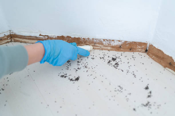 Best Insect Control  in Osage City, KS